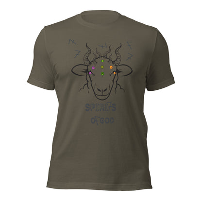 7 Spirits of God t-shirt