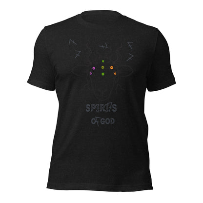 7 Spirits of God t-shirt