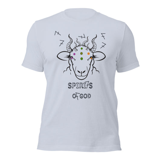 7 Spirits of God t-shirt